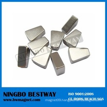 Sector Neodymium Curved Magnets